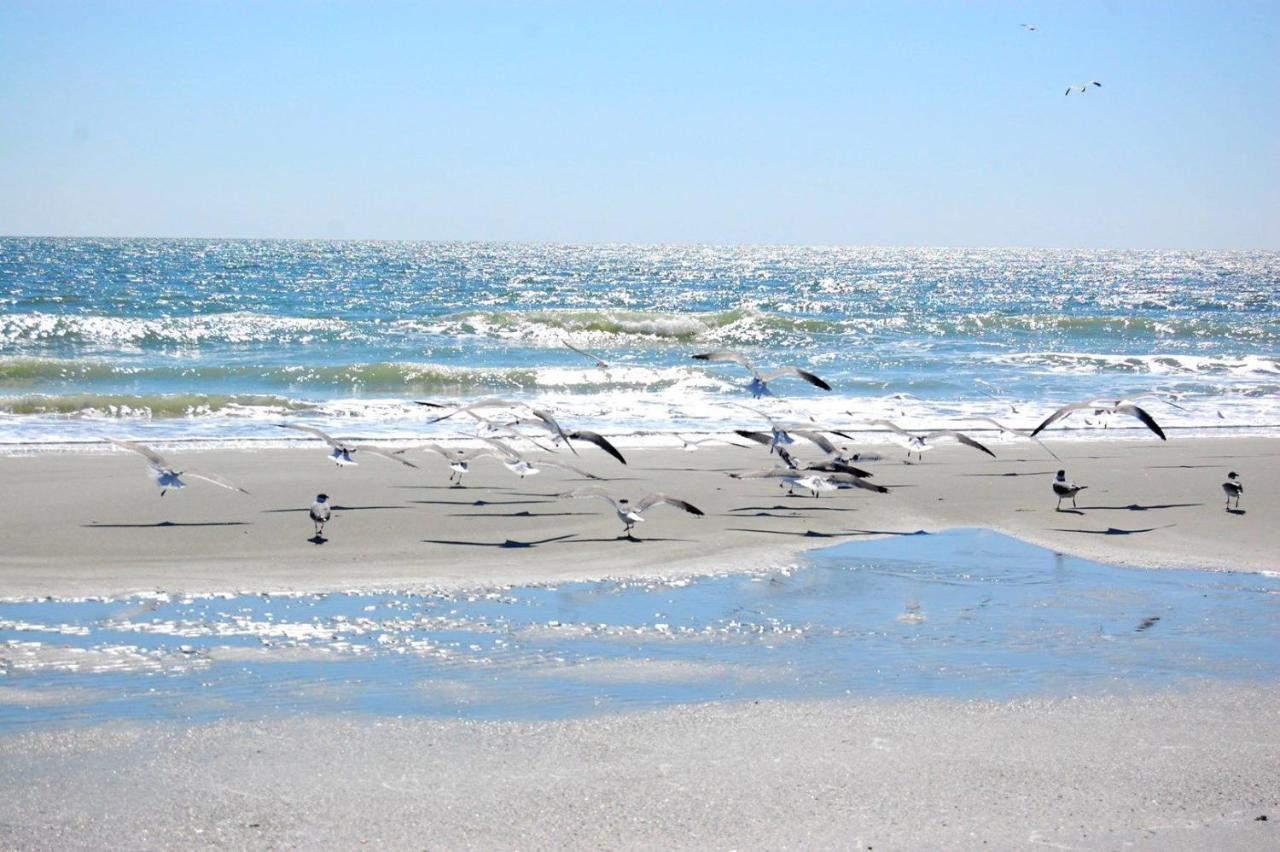 Mariners Cove 227 C Daire Myrtle Beach Dış mekan fotoğraf